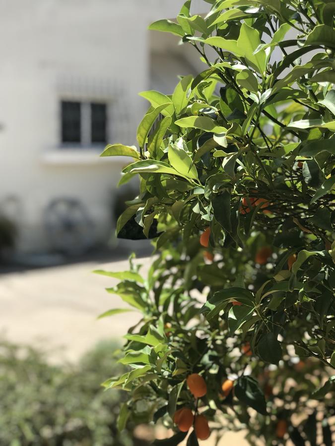 Appartamento Aggelikis House *